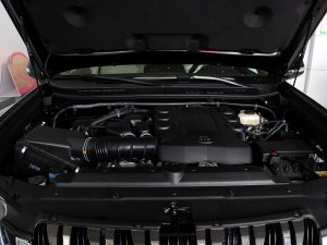  2010 4.0L TX