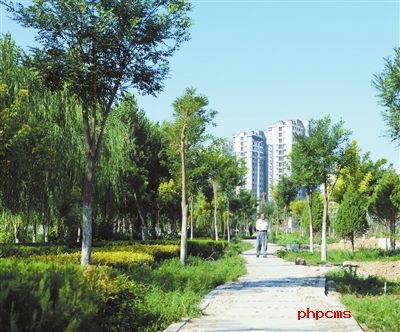 红花渠畔绿如茵 魅力银川 宁蒙陕甘信息港-银川站