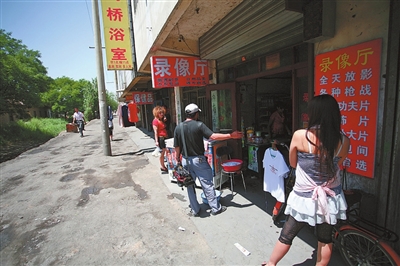 红花渠畔绿如茵 - 魅力银川 - 宁蒙陕甘信息港-银川站